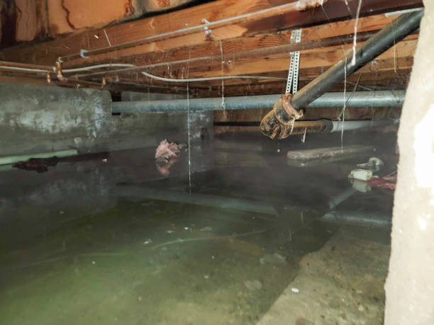 Water damage restoration process in Pottsville, PA
