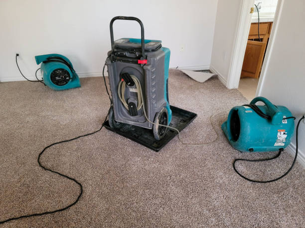Best Water damage restoration near me  in Pottsville, PA