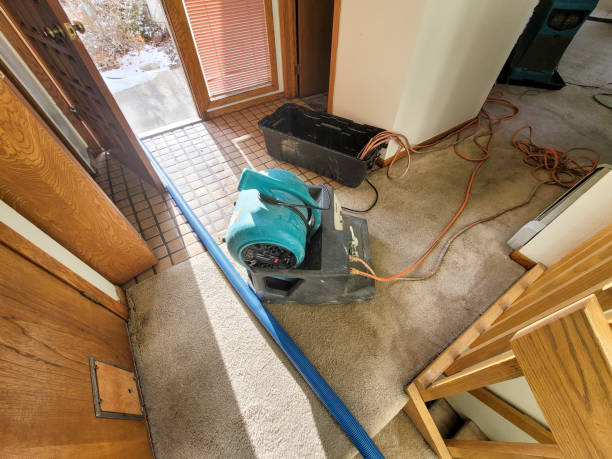 Best Local water damage restoration  in Pottsville, PA