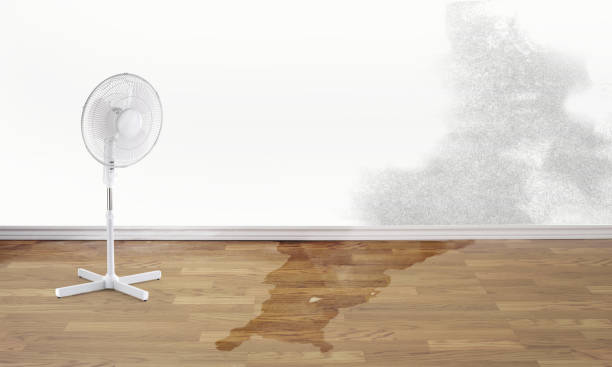 Sewage cleanup and water damage restoration in Pottsville, PA