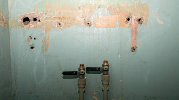 Best Water damage restoration process  in Pottsville, PA