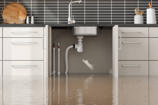 Best Professional water damage repair  in Pottsville, PA
