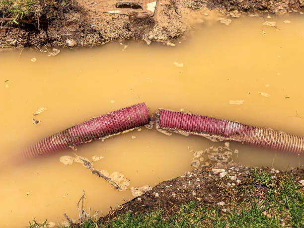 Best Local water damage restoration  in Pottsville, PA