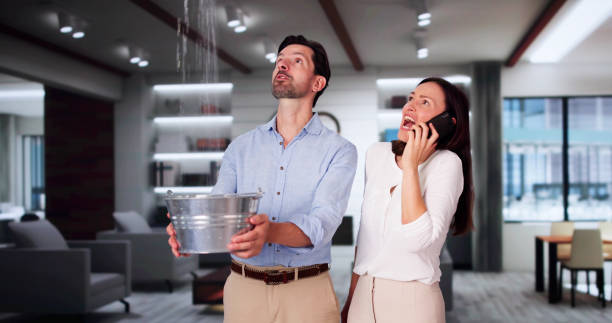 Best Ceiling water damage repair  in Pottsville, PA