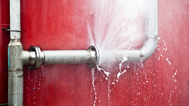 Best Water damage restoration specialists  in Pottsville, PA